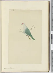 F.12 Colombe. Nouvelle-Calédonie, 1772-75
