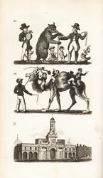 Ours dansant et chien, chameau et singe et la Bourse royale