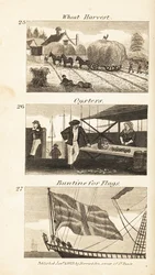 Métiers en Angleterre de la Régence : récolte de blé, huîtres et buntine pour drapeaux