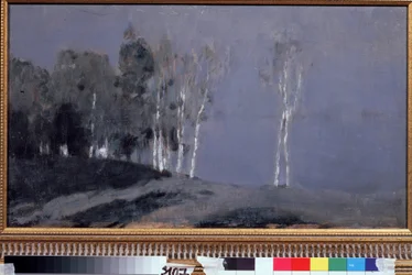 Nuit éclairée par la Lune