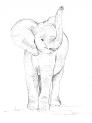 Bébé éléphant 02