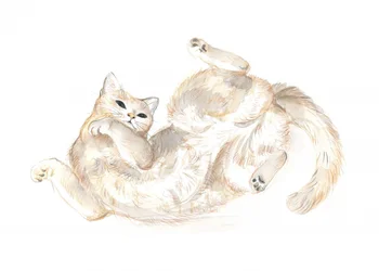Chat joueur