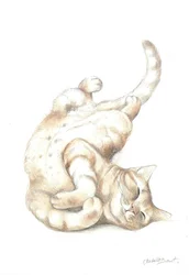 Chat détendu
