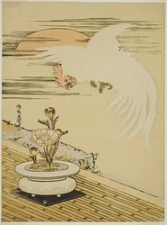 Coq volant au-dessus d