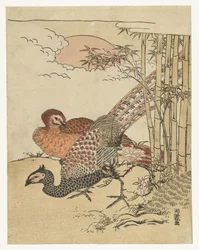 Couple de faisans près de bambous et soleil levant