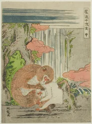 Singe (Saru), de la série "Les douze signes du zodiaque à la mode (Furyu juni shi)"