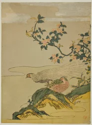 Faisans sous une Branche de Fleurs de Pêcher