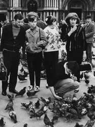 Touristes nourrissant des pigeons, place Saint-Marc, Venise, vers 1970