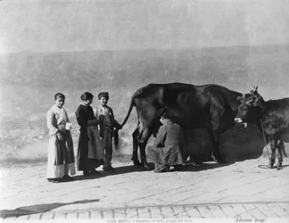 Une vendeuse de lait, de La vie à Naples