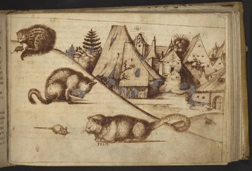 Chats attrapant des souris (