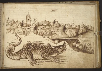 Un crocodile (