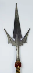 Corsesca à ailes de chauve-souris