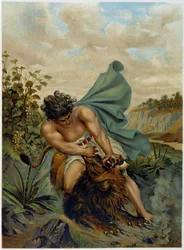 David combattant contre un lion dans « Aurea Bibbia classica: storia della rivelazione divina nell
