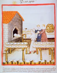 Cuisson du pain brun, illustration du Tacuinum Sanitatis