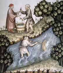 Pêche, illustration du Tacuinum Sanitatis Codex Vindobonensis
