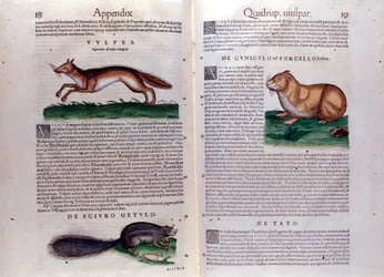 Illustrations de 