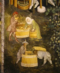 Vin nouveau