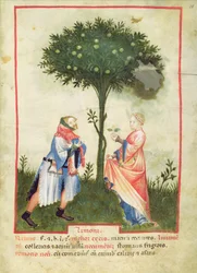 Nouv Acq Lat 1673 fol.18 Récolte de citrons, du Tacuinum Sanitatis, vers 1390-1400
