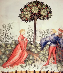 Nova 2644 fol.24r Récolte de moutarde, de Tacuinum Sanitatis
