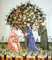 Récolte des roses, illustration du Tacuinum Sanitatis Codex Vindobonensis