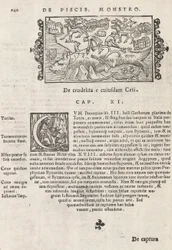Page 740 de Historia De Gentivus Septentrionalibus par Magnus Olaus, Rome 1565