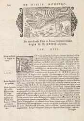 Page 742 de Historia De Gentivus Septentrionalibus par Magnus Olaus, Rome 1565