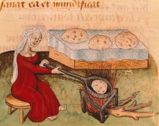 Page du Tractatus de Herbis par Dioscoride Pedanius