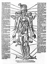 Planche représentant un corps humain avec la position de tous les organes et les signes du zodiaque correspondants par leurs influences astrologiques. Planche tirée de "Recetoro di Galeno optio e probato a tutte le infirmita che accadeno a huomini e a donn