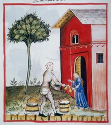 Vente de lait aigre (c.59v), Tacuinum Sanitatis, Codex Vindobonensis Series Nova 2644