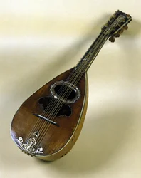 Nature morte de mandoline napolitaine inventée par Giuseppe Filano. Naples 1784