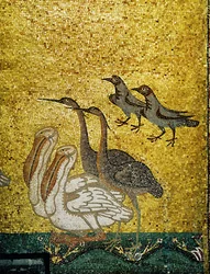 Divers oiseaux ... (mosaïque)