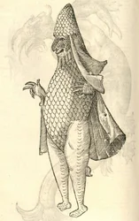 Illustration de Monstrum Marinum rudimenta habitus Episcopi referens de l