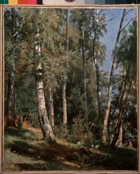 Bosquet de bouleaux, peinture d