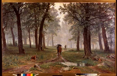 Pluie dans une forêt de chênes