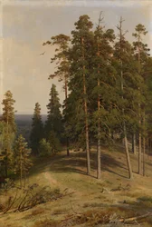La Forêt de pins, 1895