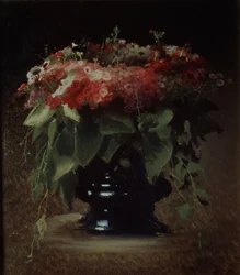 Bouquet de fleurs. Phlox, 1884