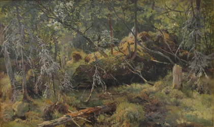 Les branches. Une étude