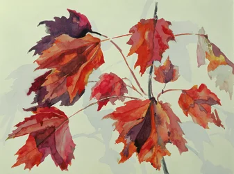 No.24 Feuilles d