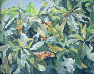 Plantes, 1961