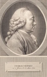 Charles Bonnet