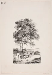 Promeneurs sur un chemin, à gauche de grands arbres