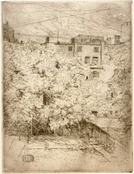 Mon jardin n° 2