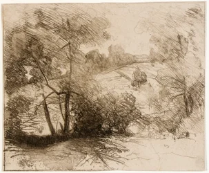Saules