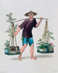 Un porteur avec des arbres fruitiers et des fleurs, Chine