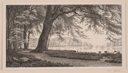 Après-midi de printemps au lac Fuglesang à Dyrehaven