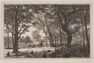 Paysage forestier du Jutland