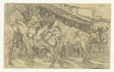Mulets et ânes sur la Grande Place de Tanger