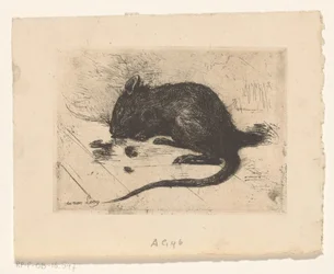 Souris
