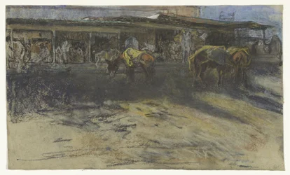 Ânes de bât sur la Grande Place à Tanger