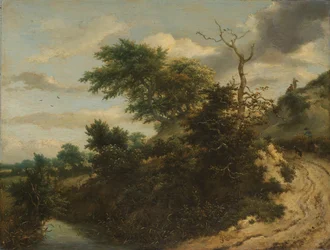 Sentier sablonneux dans les dunes